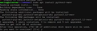 installing python3-venv