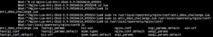 copyinglua