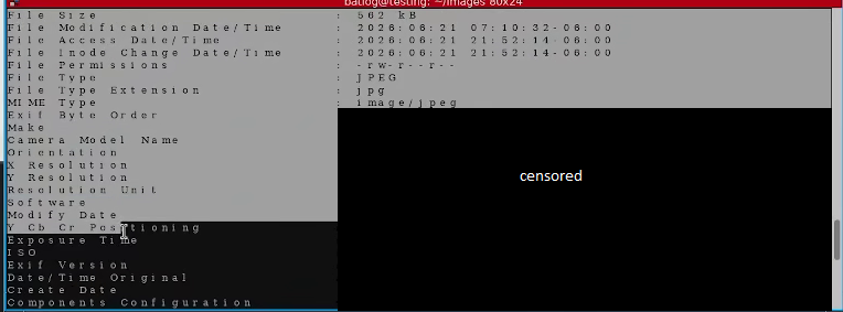 more exif data