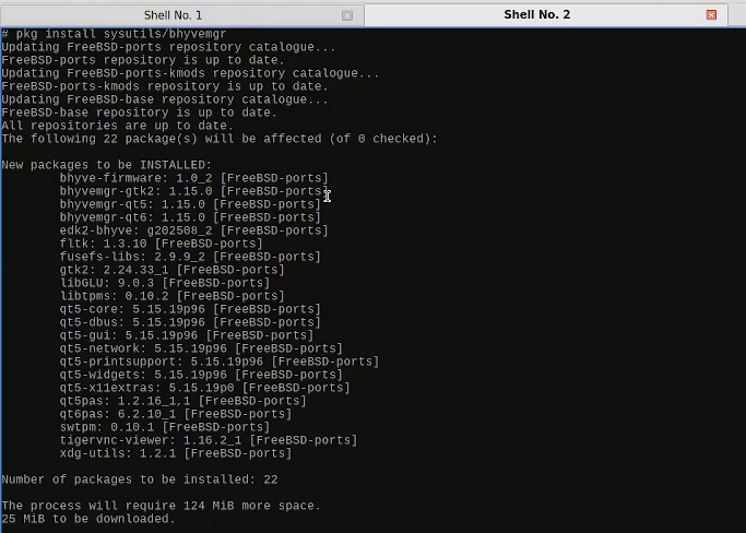 installingbhyvemgr