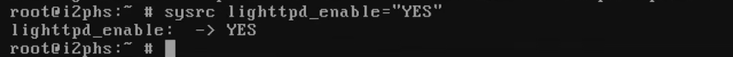 enablelighttpd