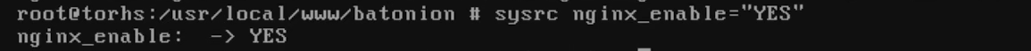 nginxenable