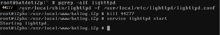 killinglighttpd