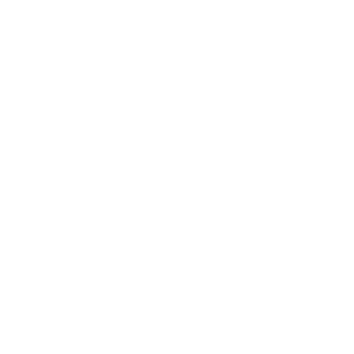 logowhite