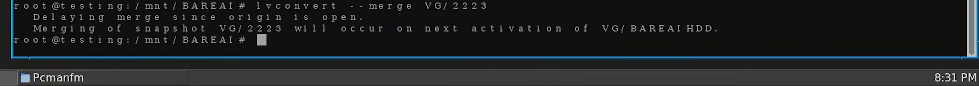 Forgetting to unmount the lvm with umount /dev/VG/BAREAIHDD